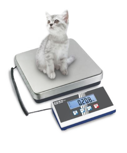 GML Innsbruck KERN Plattformwaage EOB